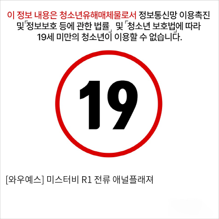 미스터비  (진동/전기자극) 애널플래져