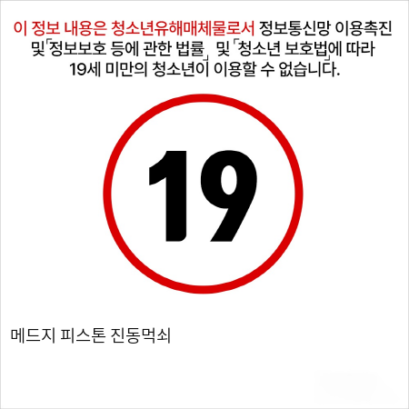 메드지 피스톤 진동먹쇠